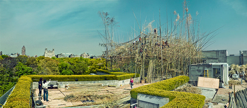 The Bamboo Nest at Top MOMA - A Look Back