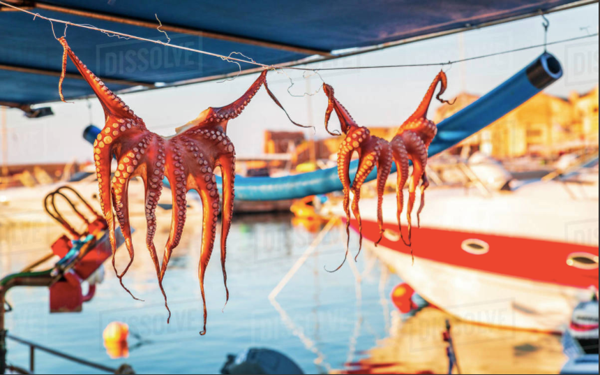 "OPA" - Eating our Way Through Greece