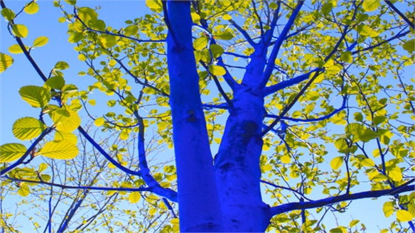 Feeling Blue -YInMn Blue - The First New Blue Pigment in 200 years