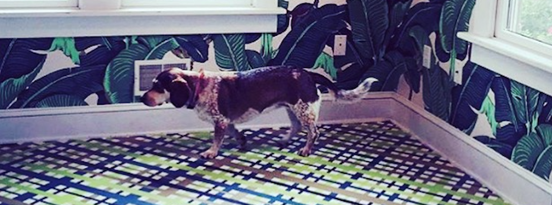 DIY #Hand-painted Linoleum Floors with our "BFF" Benjamin Moore