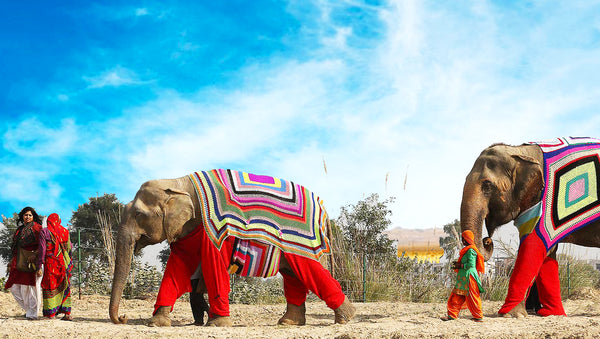 Home Design Company Thomas Fuchs Creative Dresses Elephants in Missoni Like Garments
